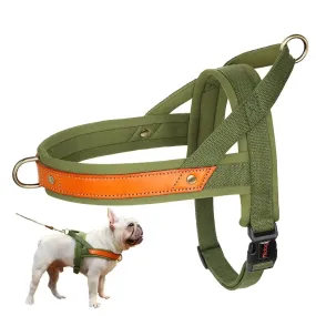 French Bulldog No Pull Collar Harness Leash Set (WS0223)
