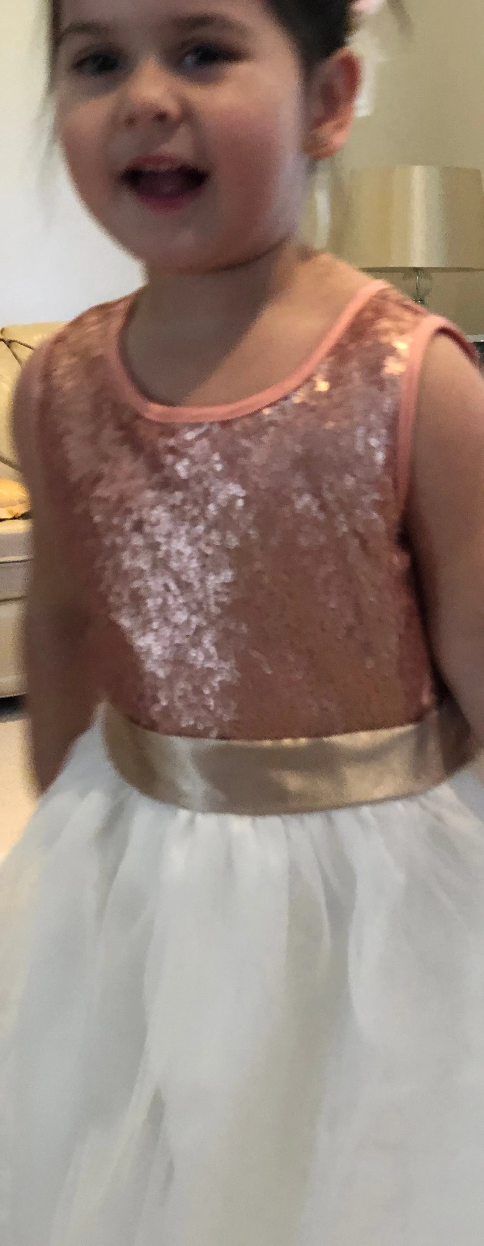 Girls Glitter Dress - Gold and Rose Gold available