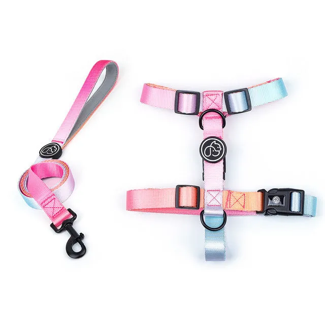 Gradientooze™ French Bulldog Harness and Leash Set (WJ74)