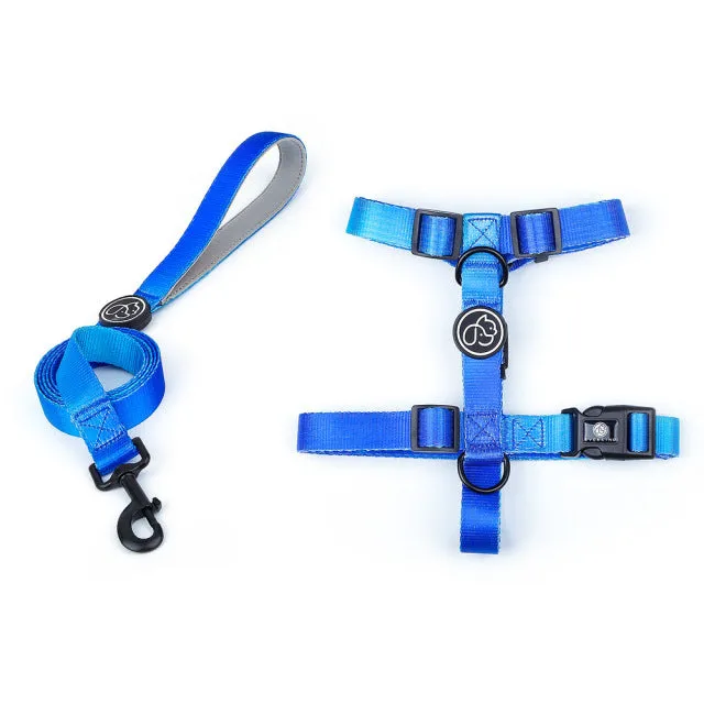 Gradientooze™ French Bulldog Harness and Leash Set (WJ74)