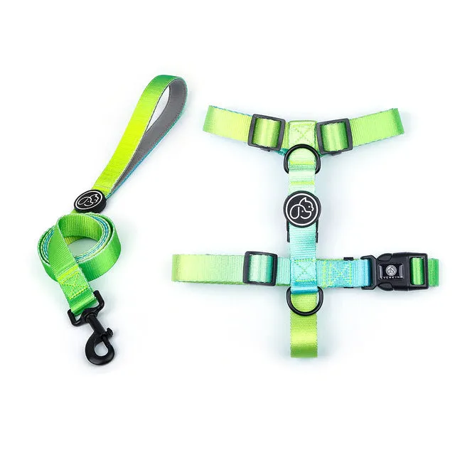 Gradientooze™ French Bulldog Harness and Leash Set (WJ74)