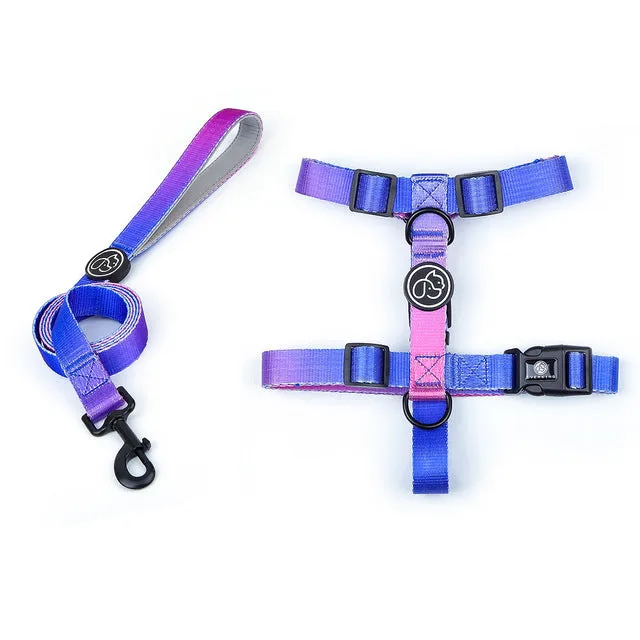 Gradientooze™ French Bulldog Harness and Leash Set (WJ74)