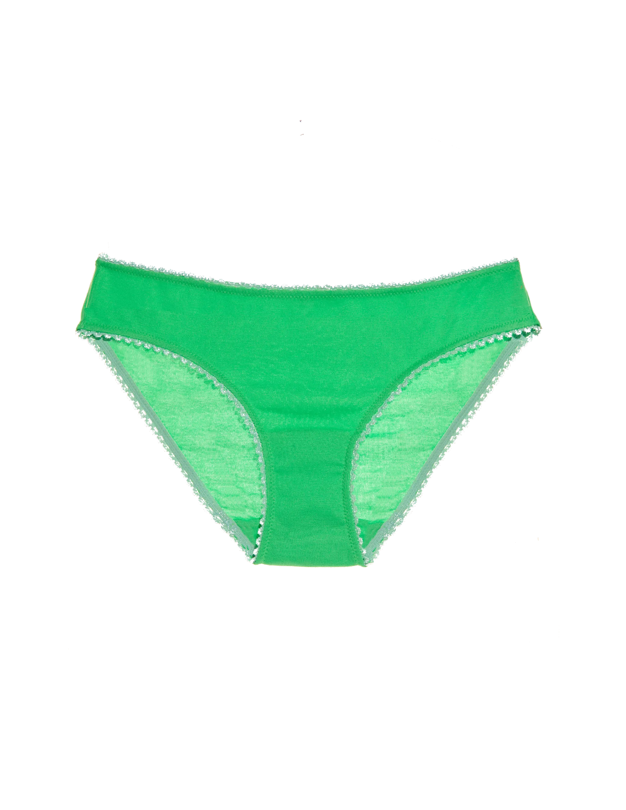 Isabella Panty Parakeet