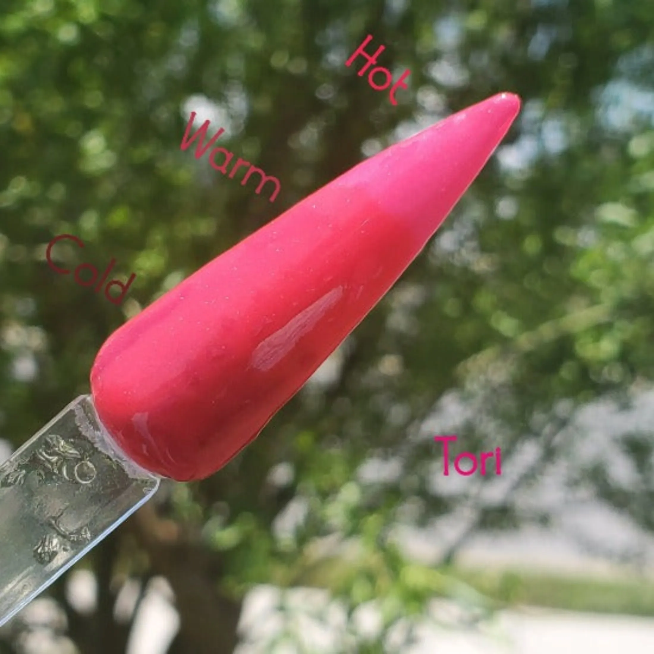 Tori- Pink Triple Thermal Nail Dip Powder